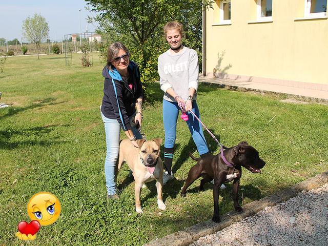 Ares con la sua nuova famiglia
